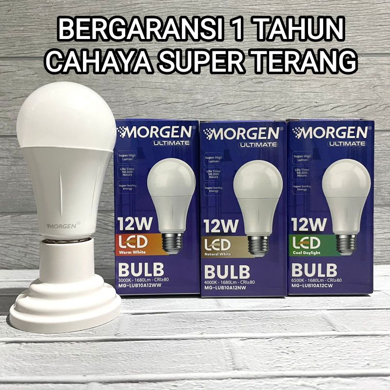 LED Bulb Ultimate 12 Watt Morgen